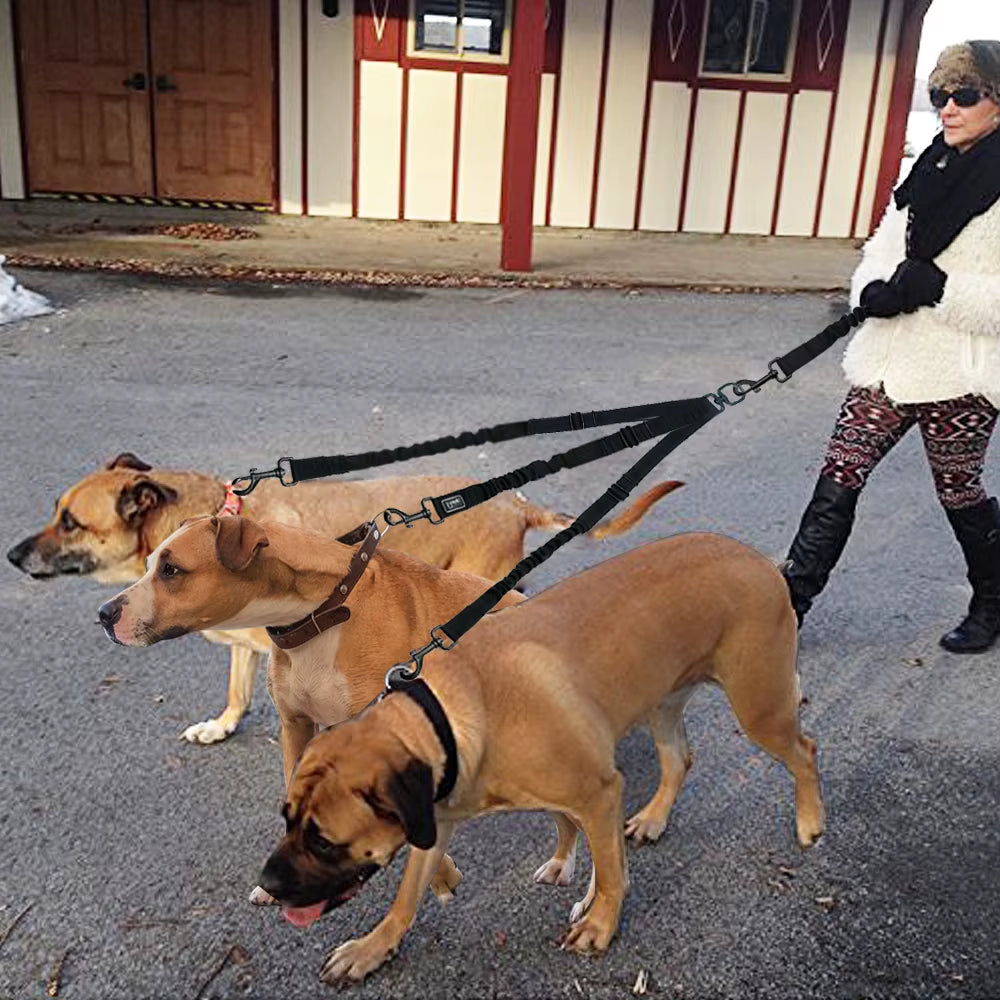Nylon No-Pull 3 Way Pet Dog Lead Leashes Coupler Pet Adjustable Rope No Tangle Bungee Pets Walking Strap 1 Leash for 3 Dogs