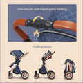 BlueSky Baby Stroller - Foldable, Reversible, Unisex Design