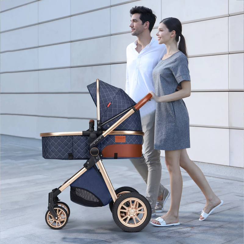 BlueSky Baby Stroller - Foldable, Reversible, Unisex Design