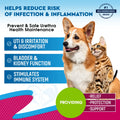 PetGuard UTI Care Drops - Natural Cranberry Supplement for Urinary Tract & Kidney Support
