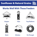 NatureFeast Sunflower & Wild Grains Bird Feed - Premium 5 Lb Bag for Wild Birds