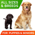 CanineGut Probiotics Chews - Digestive Enzymes & Gut Health Treats for Dogs