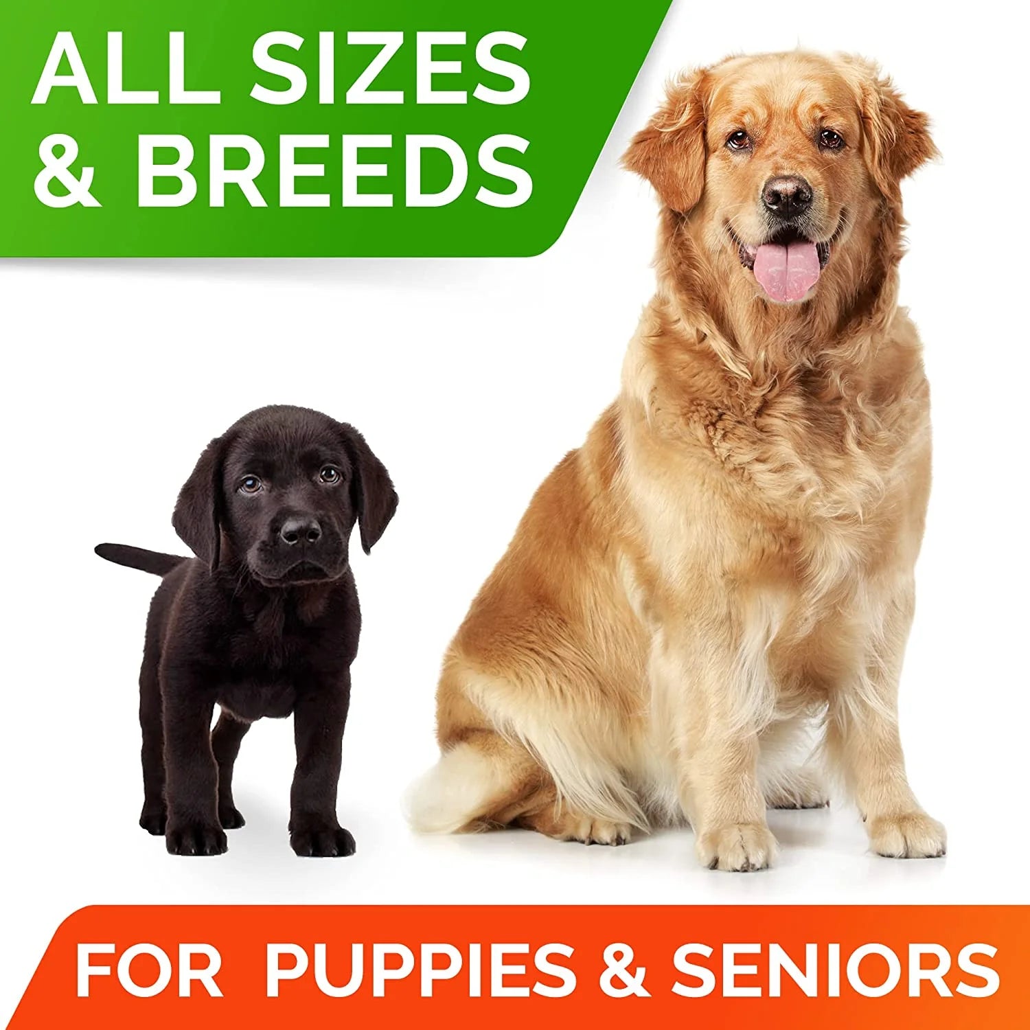 CanineGut Probiotics Chews - Digestive Enzymes & Gut Health Treats for Dogs