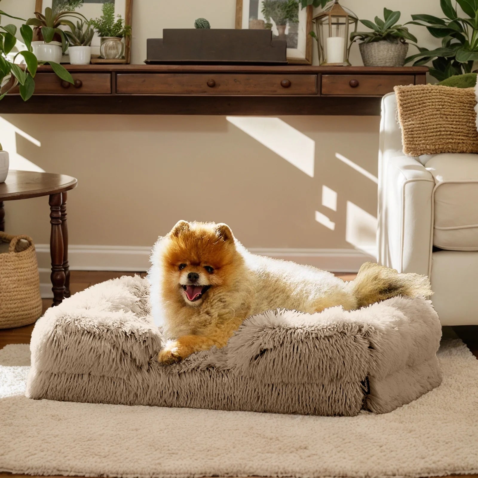 ComfyPaws Large Orthopedic Dog Bed - Plush Egg Foam Support, Waterproof & Machine Washable Cover