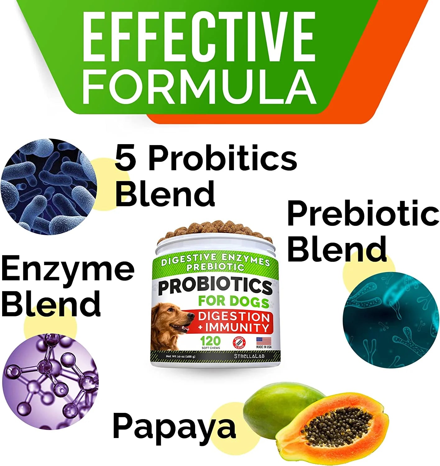 CanineGut Probiotics Chews - Digestive Enzymes & Gut Health Treats for Dogs
