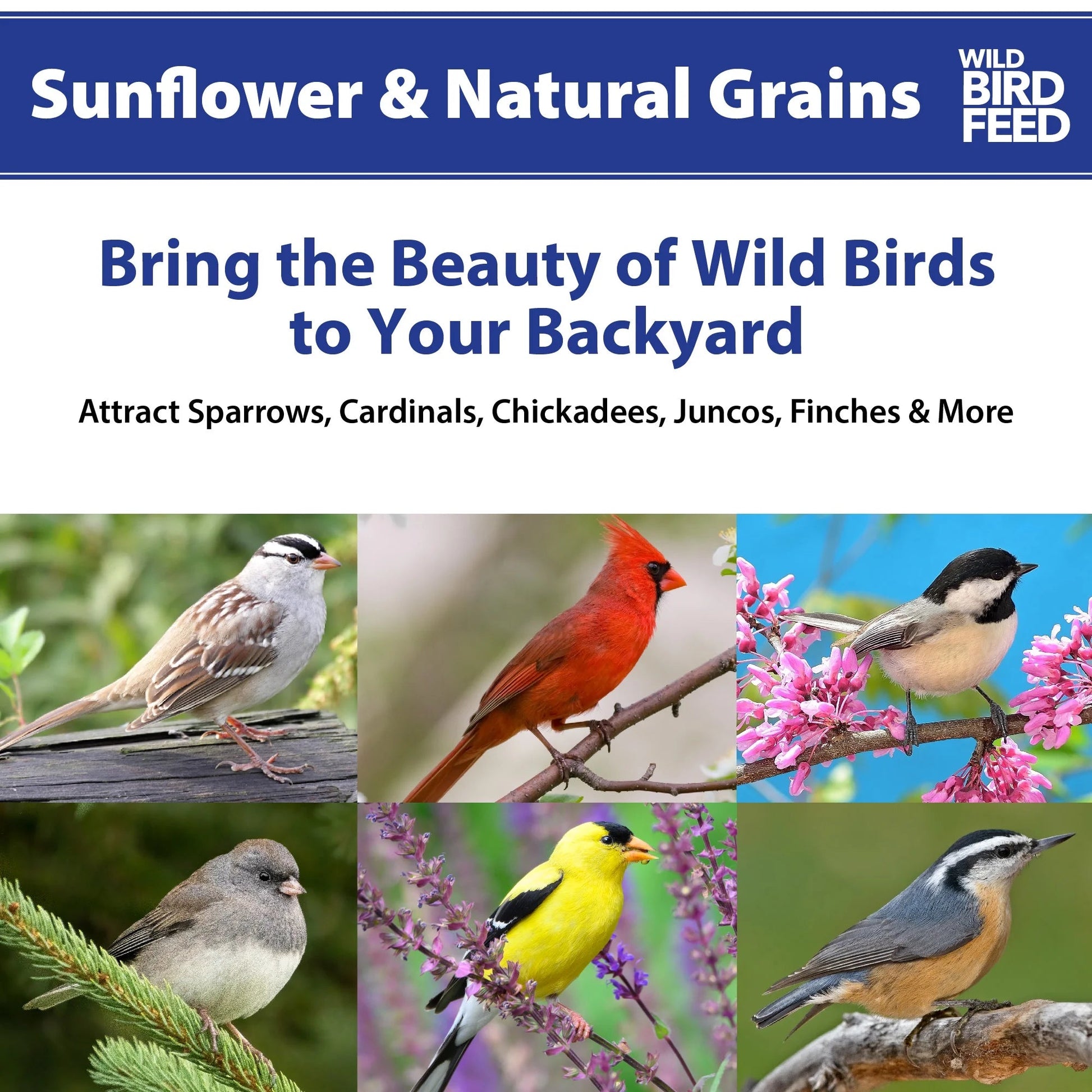 NatureFeast Sunflower & Wild Grains Bird Feed - Premium 5 Lb Bag for Wild Birds