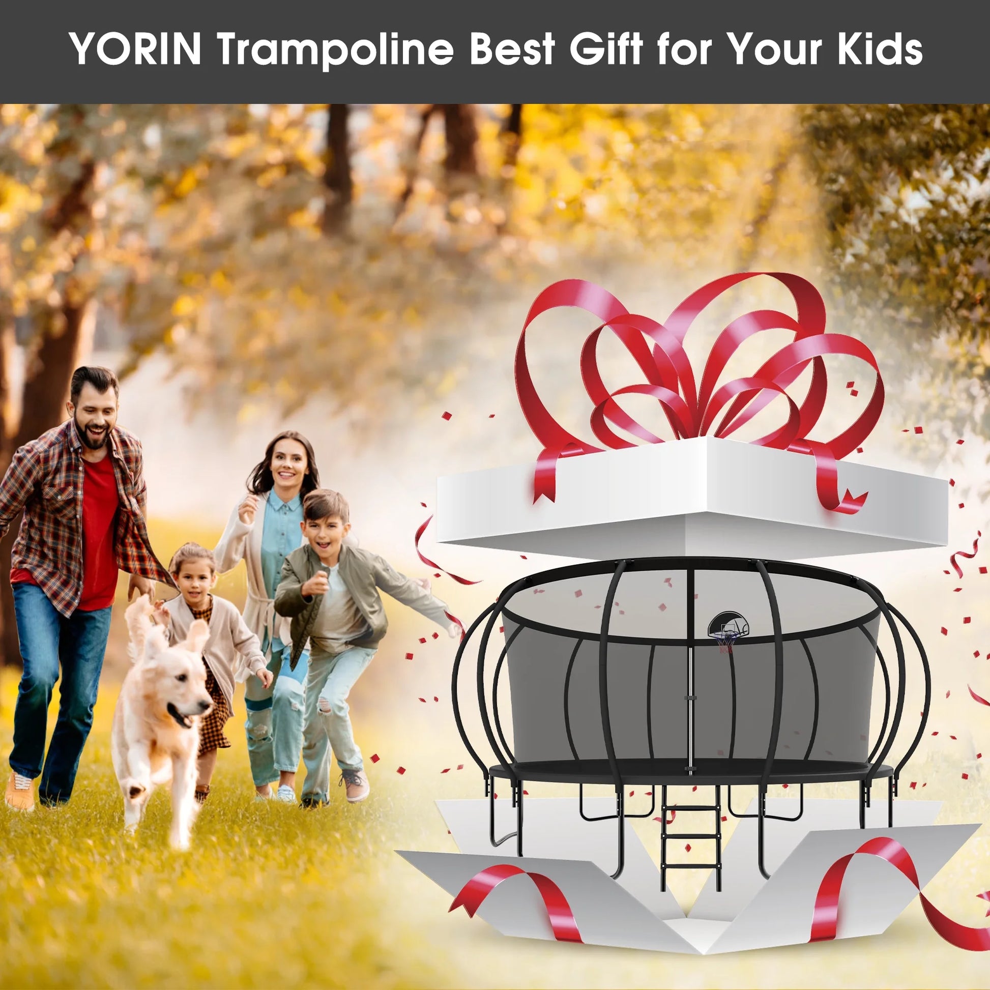 JumpMaster 16FT Trampoline - Heavy Duty with Enclosure, Basketball Hoop & Ladder for Kids & Adults