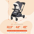 Magnolia Sit N' Stand 5-in-1 Stroller - Shopper with Canopy & Basket