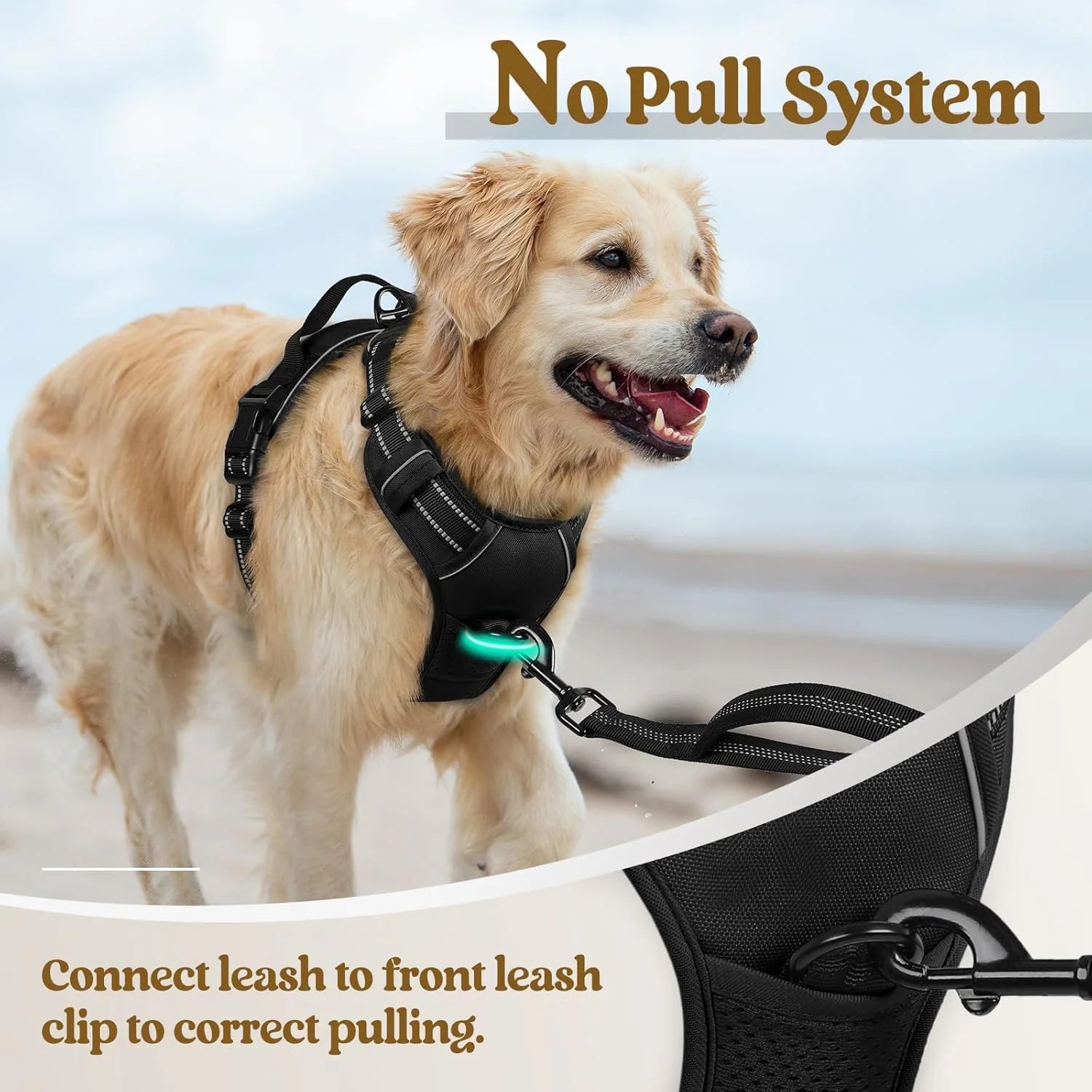 ControlMax Dog Harness - Adjustable No-Pull Soft Padded Vest with 2 Leash Clips & Reflective Oxford Fabric for Large Dogs