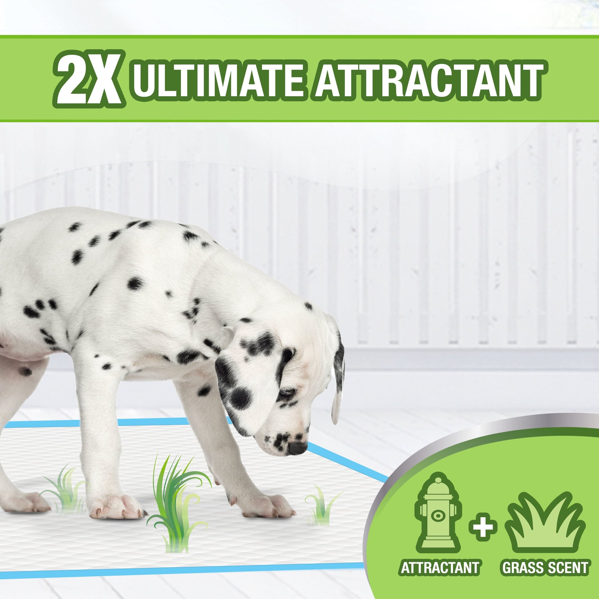 Wee-Wee Grass Scented Dog Training Pads – 50 Count Premium Pet Pee Pads for Puppies