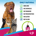 PetGuard UTI Care Drops - Natural Cranberry Supplement for Urinary Tract & Kidney Support