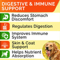 CanineGut Probiotics Chews - Digestive Enzymes & Gut Health Treats for Dogs
