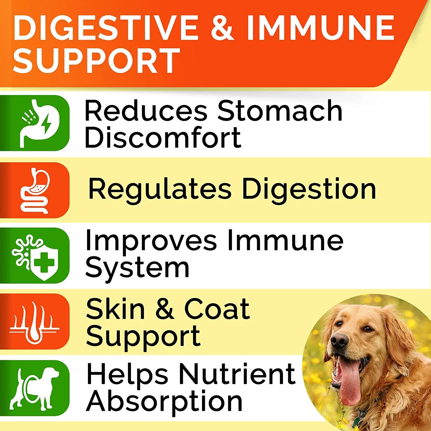 CanineGut Probiotics Chews - Digestive Enzymes & Gut Health Treats for Dogs