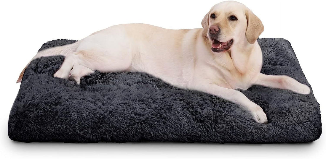CozyPaws Large Dog Bed - Washable Plush Soft Fluffy Pet Bed for Big Dogs 41 Inch