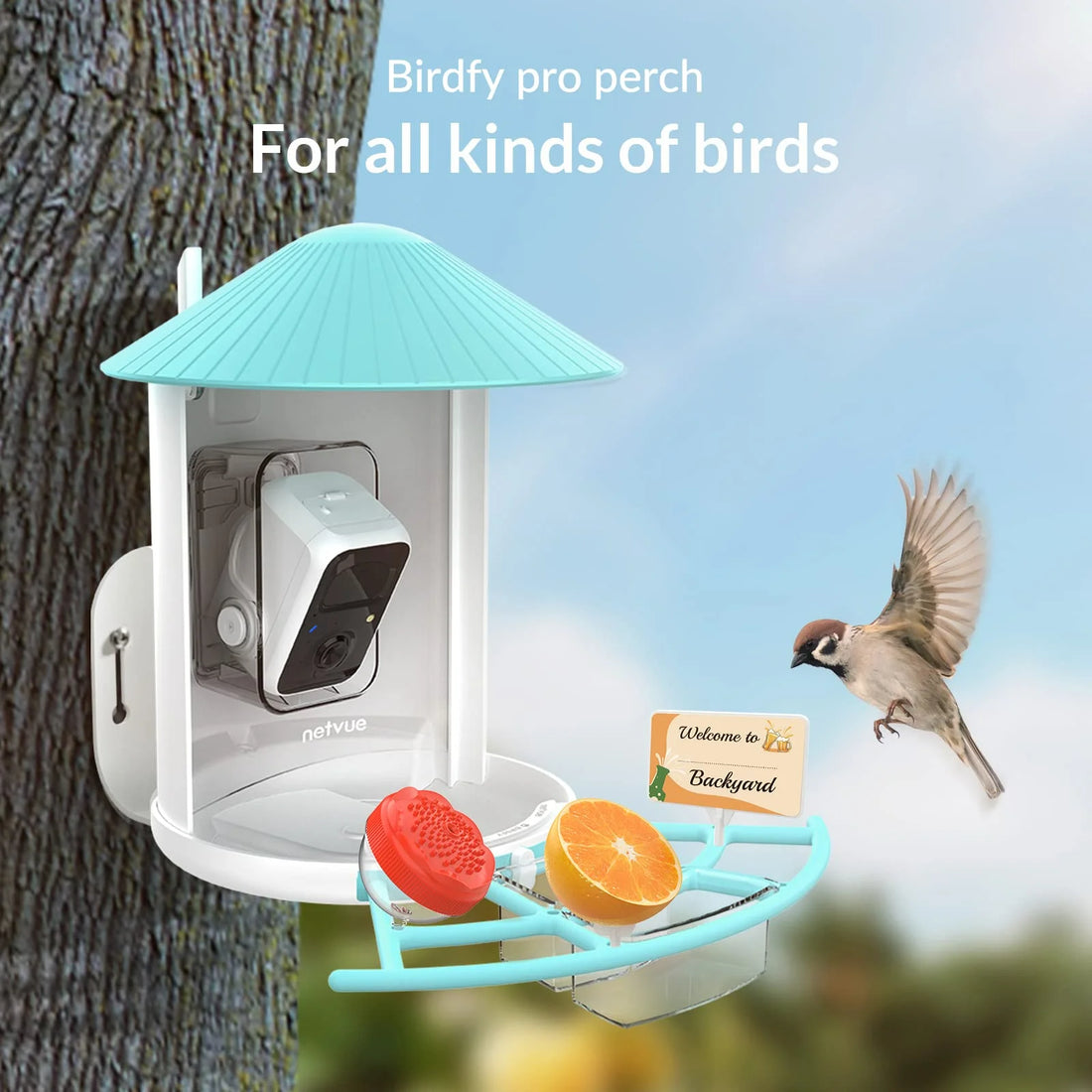 Birdfy Pro Perch Extension - Versatile Add-Ons for Suet Balls, Hummingbird Feeders, and More
