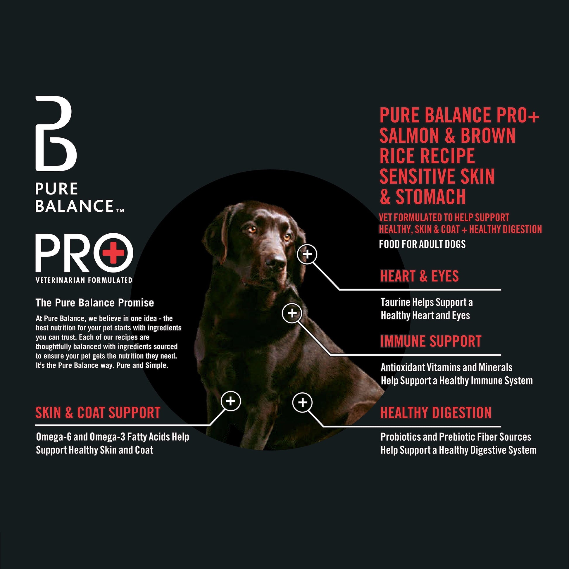 Pro+ Sensitive Skin & Stomach Dog Food - Salmon & Rice, 8 Lb