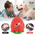 Dualpet Dog Chew Toys Rubber Strawberry Shaped Food Leaking Toy Durable Eco-Friendly Food Dispenser Dogs Toy