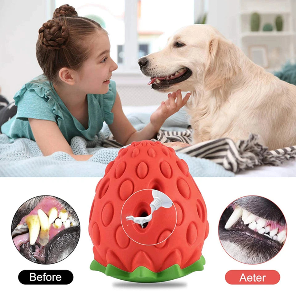 Dualpet Dog Chew Toys Rubber Strawberry Shaped Food Leaking Toy Durable Eco-Friendly Food Dispenser Dogs Toy