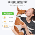 SilentPaws Dog Bark Collar - Rechargeable Smart Anti-Barking Solution for Small/Medium Dogs