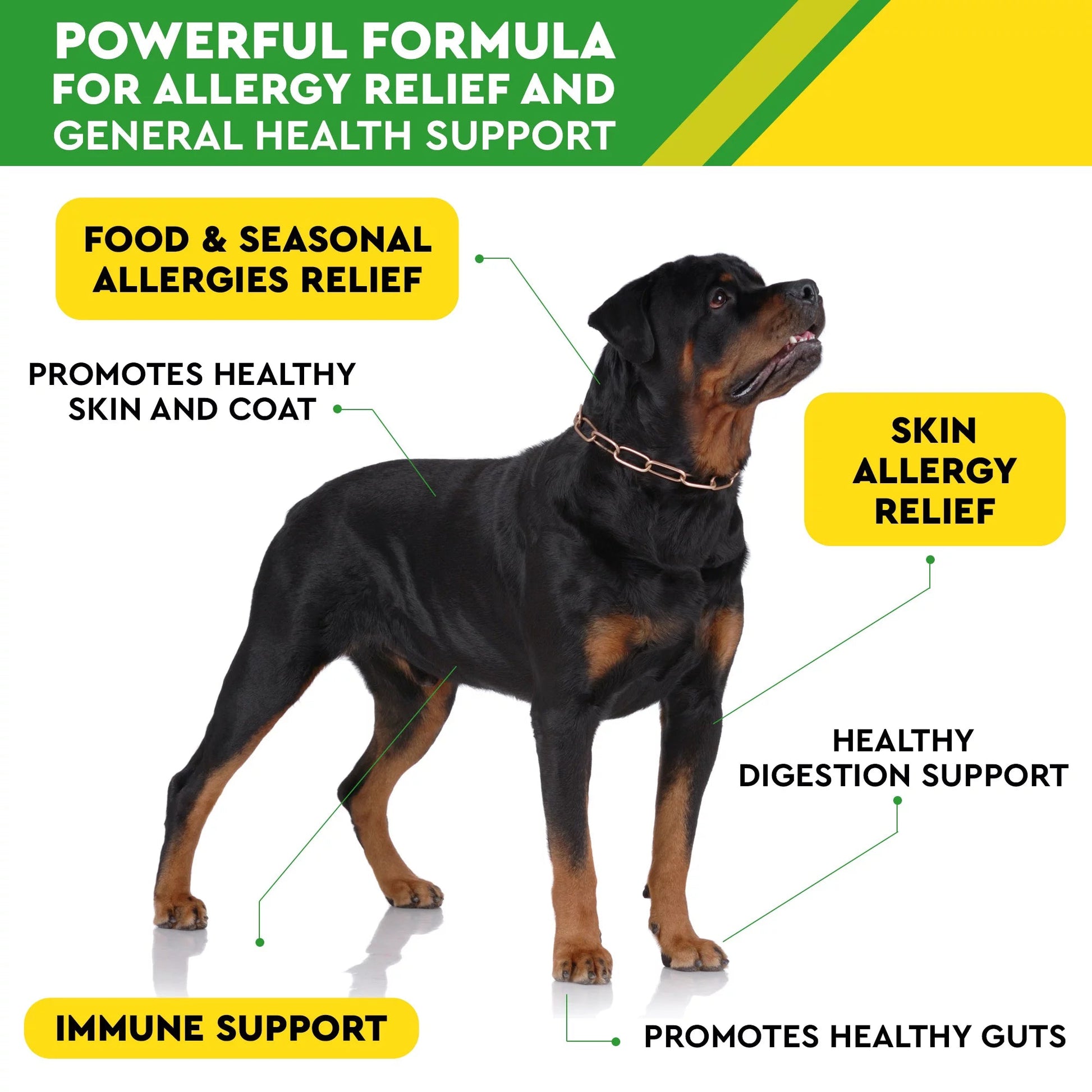 PawfectChew Dog Allergy Relief – Omega 3 Salmon Oil, Probiotics, Colostrum & Skin Support – 150 Chews Made in USA