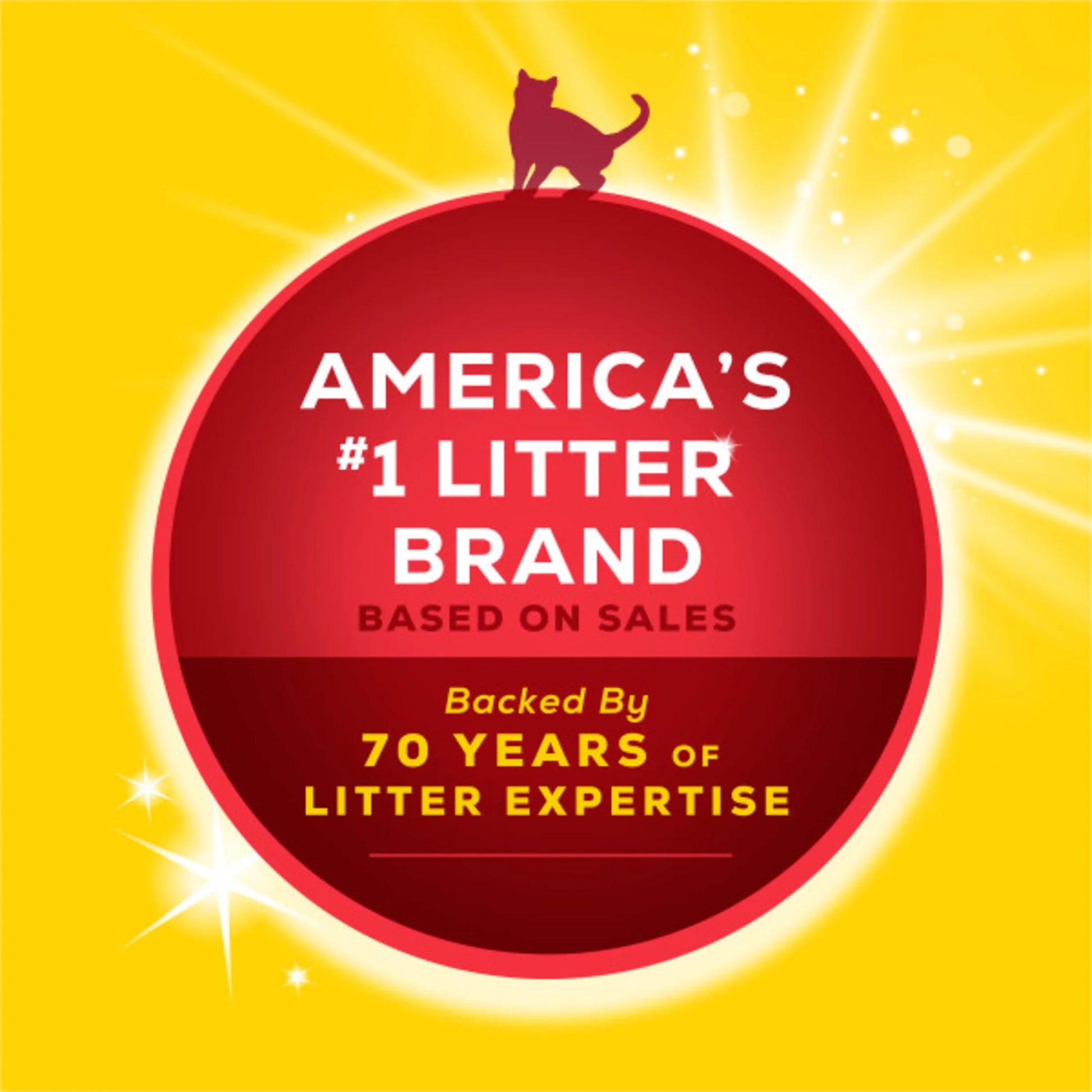 Purina 24/7 Clumping Cat Litter - Low Dust & Deodorizing, 20 Lb. Jug for Clean Homes