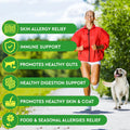 PawfectChew Dog Allergy Relief – Omega 3 Salmon Oil, Probiotics, Colostrum & Skin Support – 150 Chews Made in USA