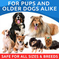 OmegaBoost Canine Health - 180 Fish Oil Soft Chews for Shedding, Skin Allergies & Joint Care