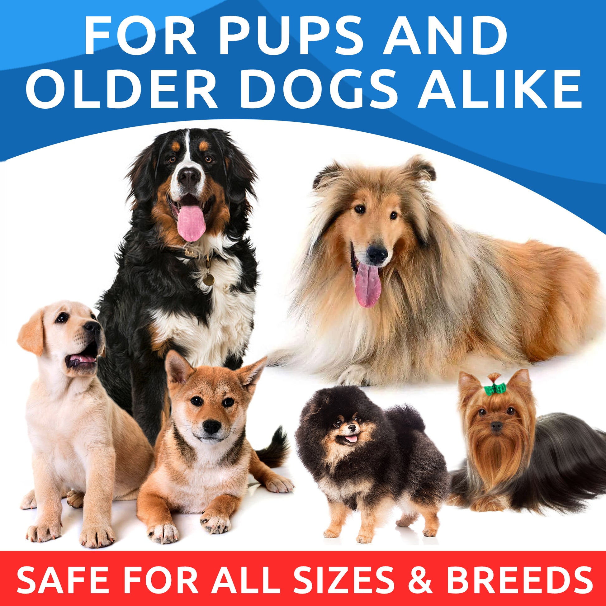 OmegaBoost Canine Health - 180 Fish Oil Soft Chews for Shedding, Skin Allergies & Joint Care