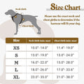 ControlMax Dog Harness - Adjustable No-Pull Soft Padded Vest with 2 Leash Clips & Reflective Oxford Fabric for Large Dogs