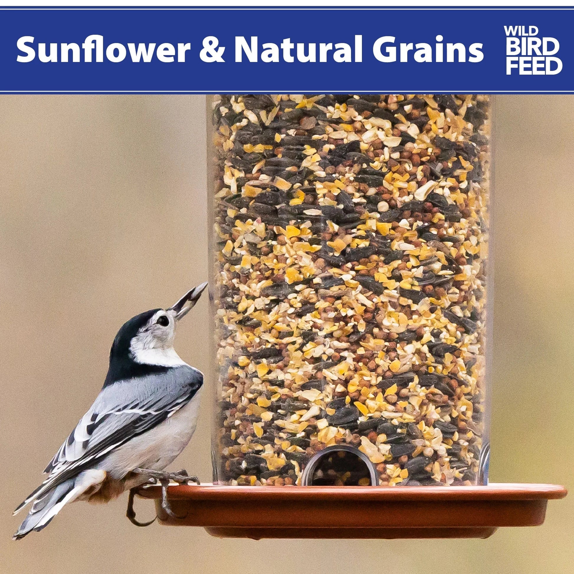 NatureFeast Sunflower & Wild Grains Bird Feed - Premium 5 Lb Bag for Wild Birds