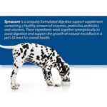 Synacore Digestive Support Dogs 30 Stick Packs Probiotics Enzymes Vitamins 2.5g - Image 2