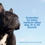 Adams Plus Flea & Tick Spot On 3 Doses 30 Day Control for Medium Dogs 15-30lbs - Image 5