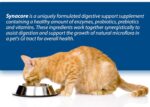 Synacore Digestive Support Cats 30 Stick Packs 1.5g Probiotics Enzymes Vitamins - Image 3